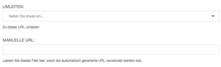 Screenshot Seiten-Einstellungen, Felder »Umleiten« und »Manuelle URL«