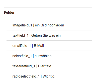Übersicht der im Formular vorhandenen Felder mit der Name-Bezeichnung
