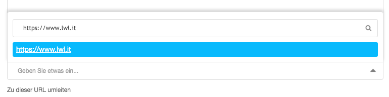 Screenshot Menü Seiteneinstellungen › Umleiten-Feld mit eingefügter URL www.lwl.it