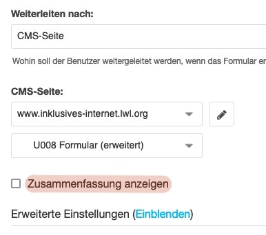 Screenshot Formular (erweitert) mit der Checkbox »Zusammenfassung anzeigen« farbig hervorgehoben
